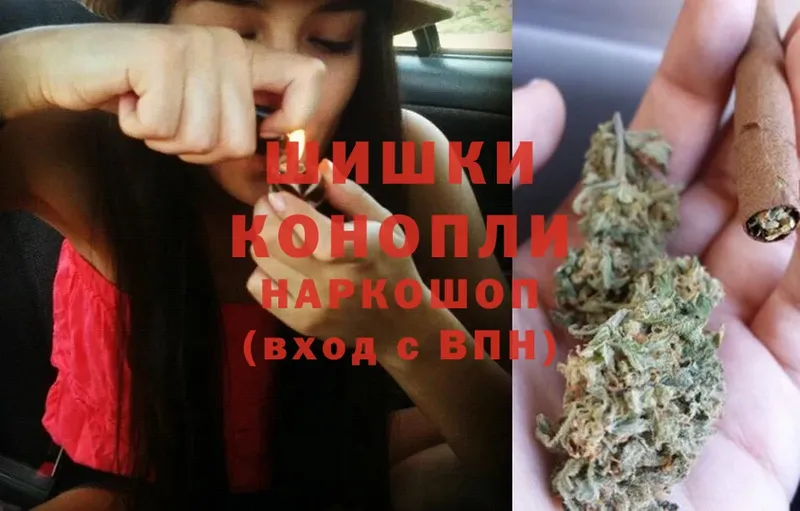 Шишки марихуана OG Kush  Ессентуки 